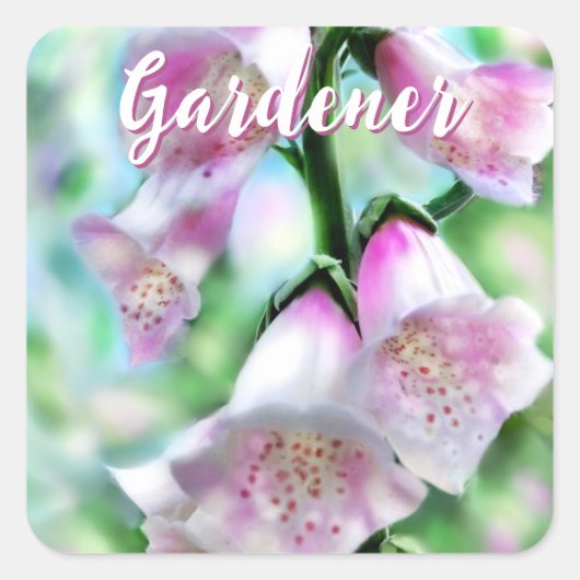 Foxglove Flowers Floral Pink Garden Personalized スクエアシール (正面)