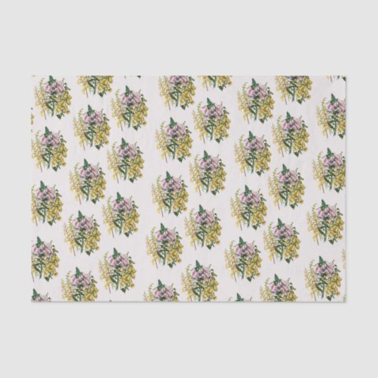 Foxgloves 薄葉紙 (正面)