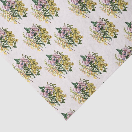 Foxgloves 薄葉紙 (詳細)