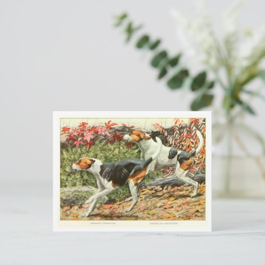 Foxhound Dogs Postcard ポストカード (スタンド正面)