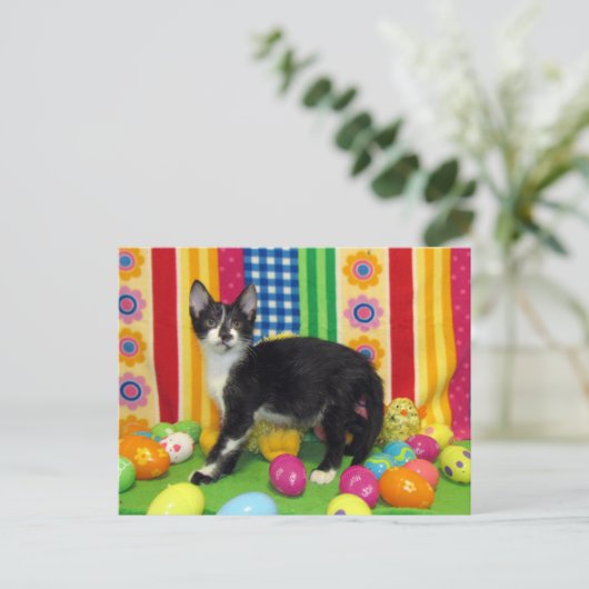 Foxi Moxiのイースターポストカード シーズンポストカード (スタンド正面)