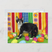 Foxi Moxiのイースターポストカード シーズンポストカード (正面/裏面)