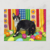 Foxi Moxiのイースターポストカード シーズンポストカード (正面)