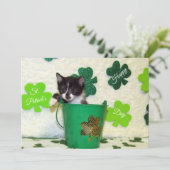 Foxi's St. Patrick's Day Cat / Kitten – フラットカード シーズンカード (スタンド正面)