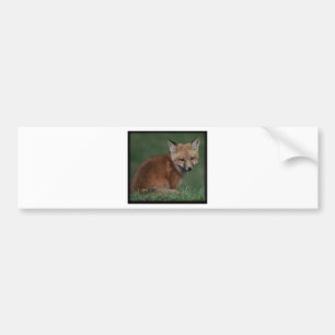 foxkit バンパーステッカー