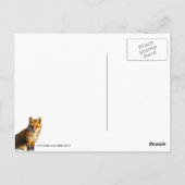 foxyの視線 ポストカード (裏面)