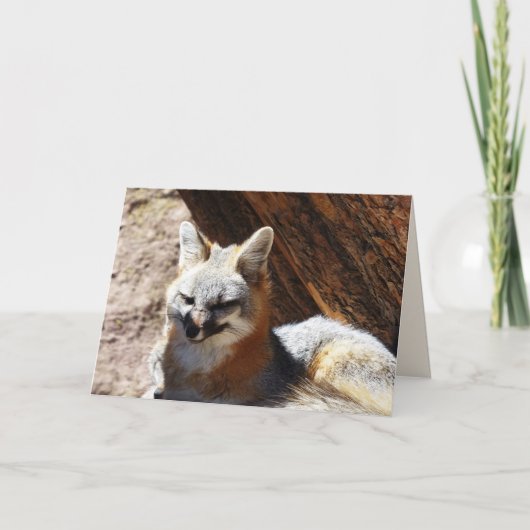 foxy、あいさつ空白のきカード カード (正面)