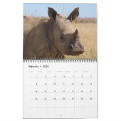 foxy.africa カレンダー (2月 2026)