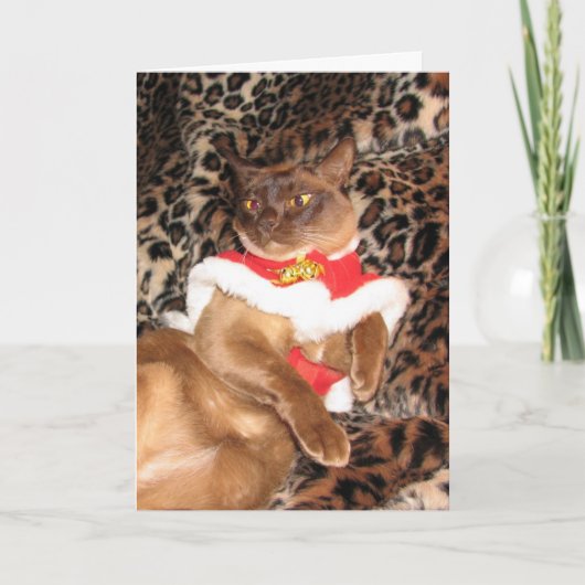 FPGのクリスマスのビルマ語2 - シーズンカード (正面)