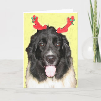 FPGのクリスマスNewfie シーズンカード