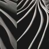 Fractal Flow 壁紙 (縫い目)