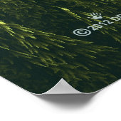 Fractal Forest ポスター (角)