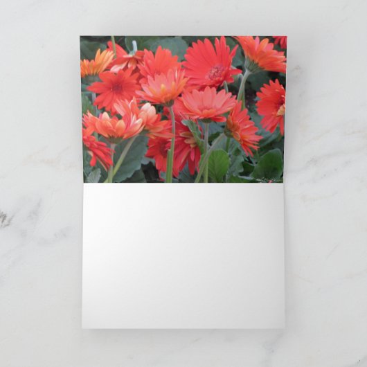 Frame-It Get Well Card カード (内部)