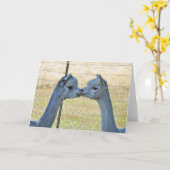 Frameableの芸術カードのキスをするなアルパカ カード (黄色い花)