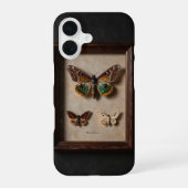 Framed Moth Specimen Dark Academia Case iPhone 16ケース (裏面)