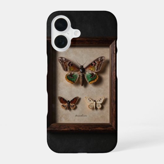 Framed Moth Specimen Dark Academia Case iPhone 16ケース (裏面)