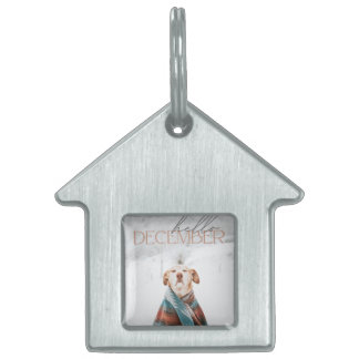 Framed Pet Tag ペットネームタグ