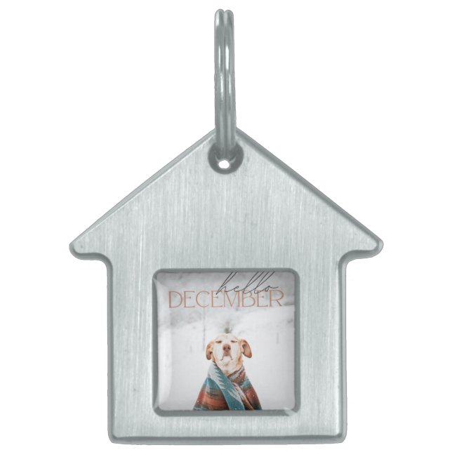 Framed Pet Tag ペットネームタグ (正面)
