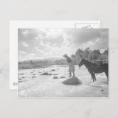 Frances Phelps Belden fly fishing in the river ポストカード (正面/裏面)