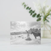 Frances Phelps Belden fly fishing in the river ポストカード (スタンド正面)