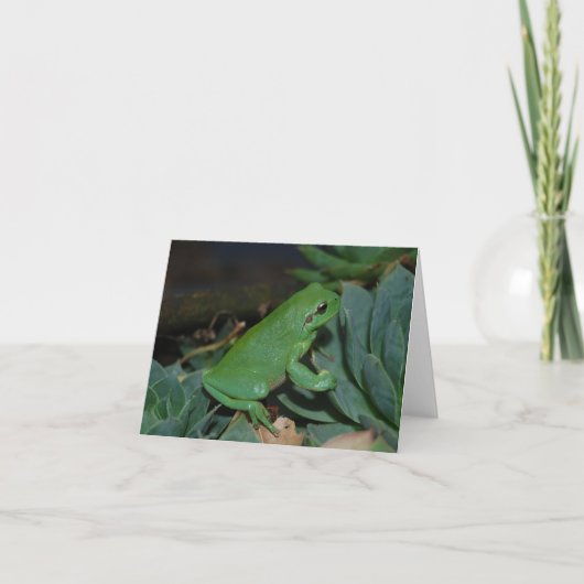 Francoiseカエル シーズンカード (正面)