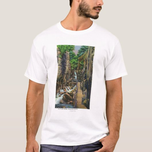 Franconiaのノッチの州立公園 Tシャツ (正面)