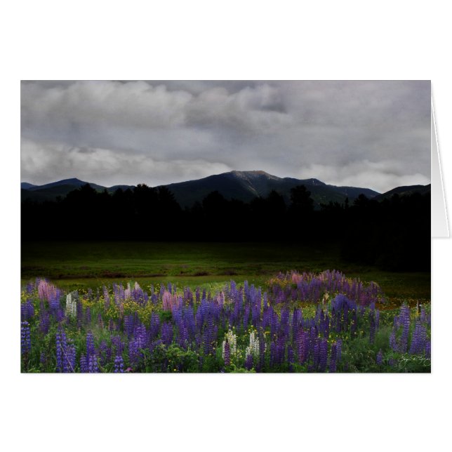 Franconiaの範囲の薄暗がり (正面横)