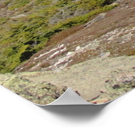 Franconia Ridge Trail, New Hampshire ポスター (角)