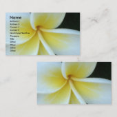 Frangipaniの花の名刺 名刺 (正面/裏面)