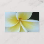 Frangipaniの花の名刺 名刺 (裏面)