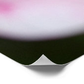 Frangipaniを閉じる ポスター (角)