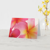 Frangipaniカード カード (黄色い花)