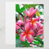 Frangipani (プルメリア)の花 便箋 (正面/裏面)
