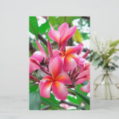 Frangipani (プルメリア)の花 便箋 (スタンド正面)