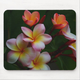 Frangipani マウスパッド
