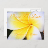 Frangipani – 日付の保存 案内ポストカード (正面/裏面)