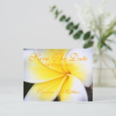 Frangipani – 日付の保存 案内ポストカード (スタンド正面)