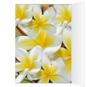 Frangipani_Bouquet, バースデーカード (内側 (左))