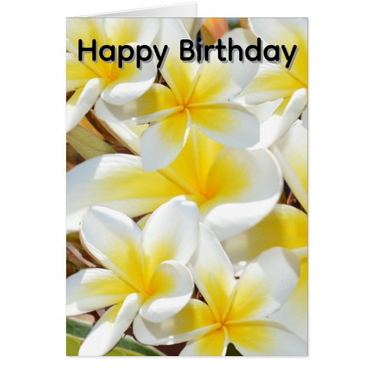 Frangipani_Bouquet, バースデーカード (正面)