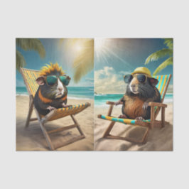 Frankie G & Gerald, Guinea Pigs Go Vaca 薄葉紙