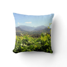 Franschhoek、南アフリカ共和国のブドウ園