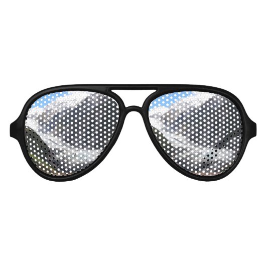 Franz Josef Glacier（ニュージーランド） アビエーターサングラス (正面)