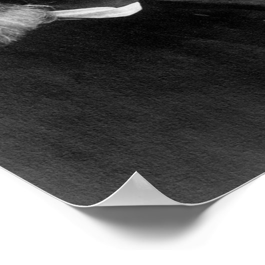 Franz Liszt Profile Picture ポスター (角)