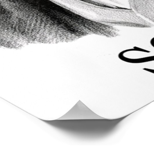 Franz Schubert, black ポスター (角)