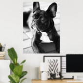 Französisch Bulldog ポスター (ホームオフィス)