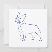 Französische Bulldogge (正面)