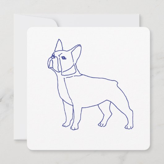 Französische Bulldogge (正面)