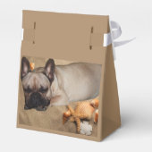 Französische. Bulldogge フェイバーボックス (裏面サイド)