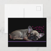 Französische Bulldogge  ポストカード (正面/裏面)
