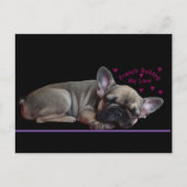 Französische Bulldogge  ポストカード (正面)